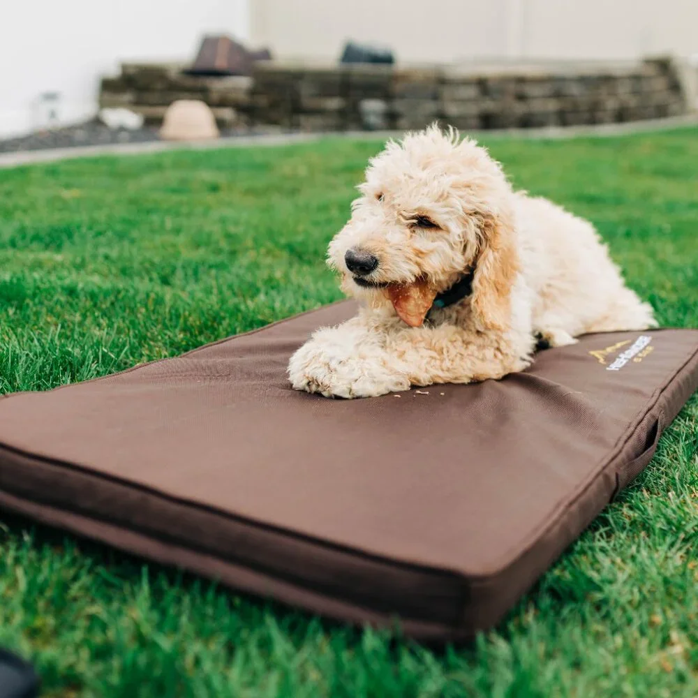 Dog Kennel / Carrier Bed